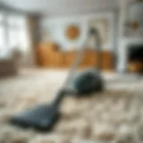 A beautifully arranged wool carpet with a vacuum cleaner