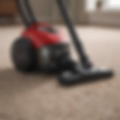 Vacuum cleaner on a carpet