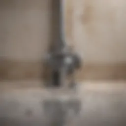 Clogged bathroom drain with water buildup