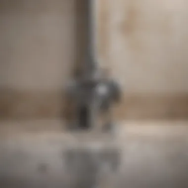 Clogged bathroom drain with water buildup