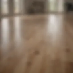 A pristine laminate floor reflecting natural light, showcasing its glossy finish.