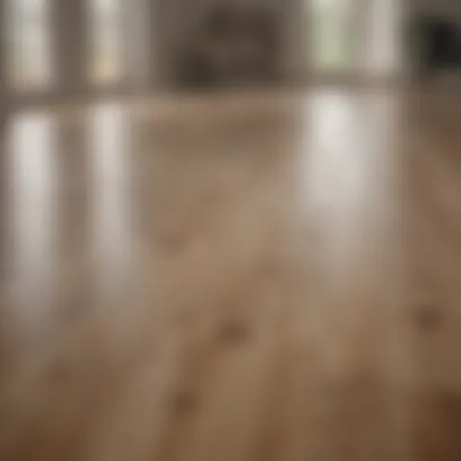 A pristine laminate floor reflecting natural light, showcasing its glossy finish.