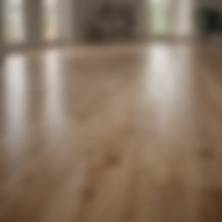 A pristine laminate floor reflecting natural light, showcasing its glossy finish.