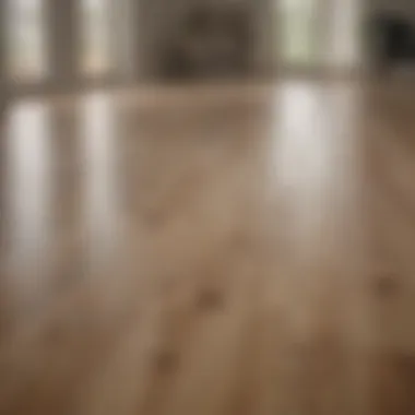 Pristine Laminate Floor A pristine laminate floor reflecting natural light, showcasing its glossy finish.