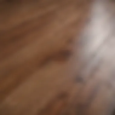 A close-up of a stain on laminate flooring with an effective cleaning solution applied.