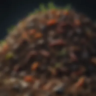 A healthy compost pile with worms and microorganisms visible