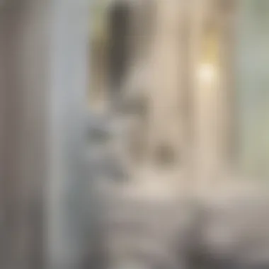 Demonstration of using a plunger in a shower