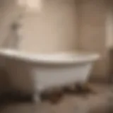 Clogged bathtub drain with visible debris
