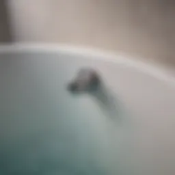 Close-up of a bathtub drain with water pooling around it