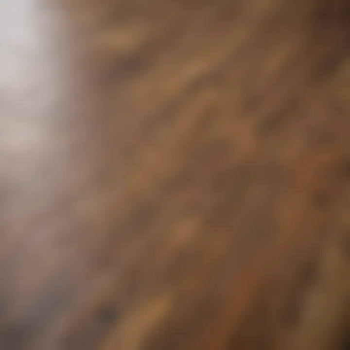 Close-up of durable laminate flooring with textured finish