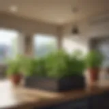 Lush indoor herb garden in a bright kitchen