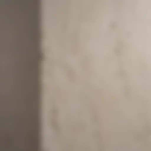 Close-up view of plaster wall texture