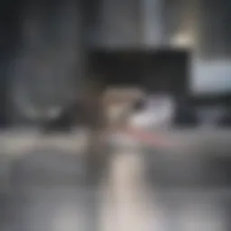 A modern rental property showcasing innovative design features