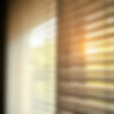 A close-up of mini blinds with natural light shining through