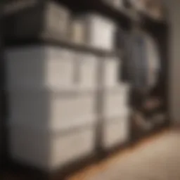 Neatly organized closet with labeled storage bins.