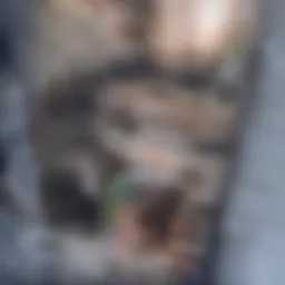 Detailed illustration of various circuit breaker types