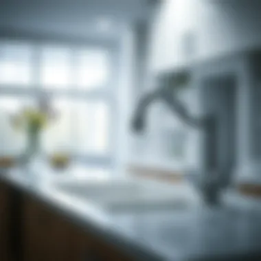 Preventive measures to avoid sink clogs