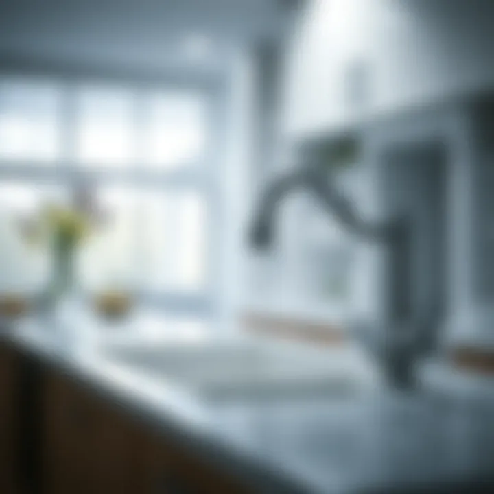 Preventive measures to avoid sink clogs