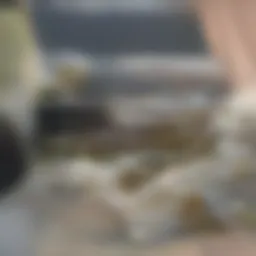 Financial overview of renting a house