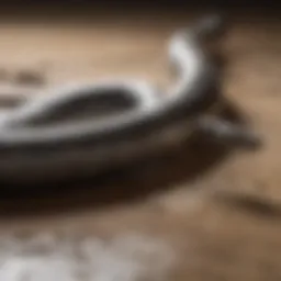 Flexible drain snake for effective clog removal