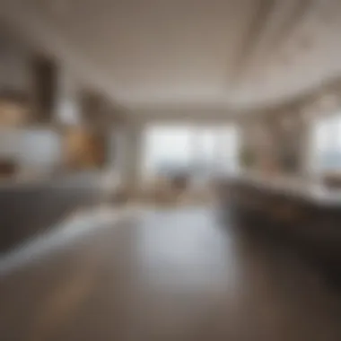 Modern Gourmet Kitchen in Penthouse Gourmet kitchen in a high-end penthouse