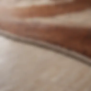 Close-up of a stain on an area rug.