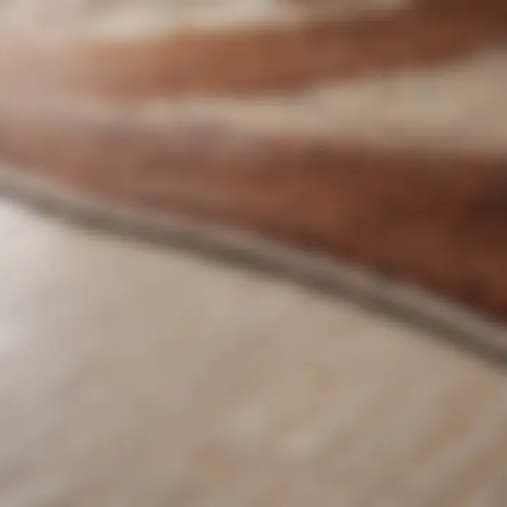 Close-up of a stain on an area rug.