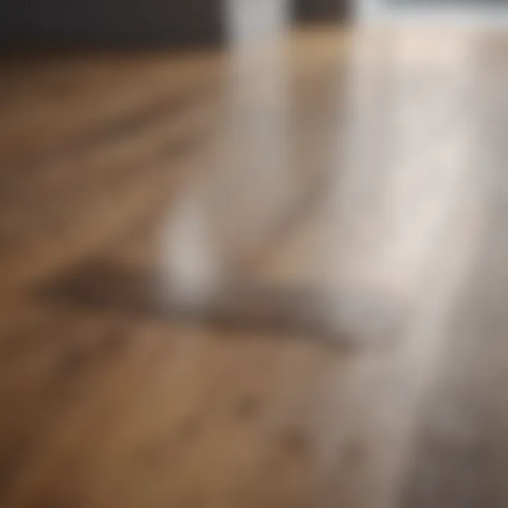 Close-up of laminate floor showcasing potential steam damage