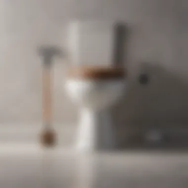 Techniques for Effective Plunger Usage Diagram showing proper usage techniques for a plunger