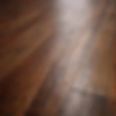 Beautifully stained wooden floor showcasing rich color and texture