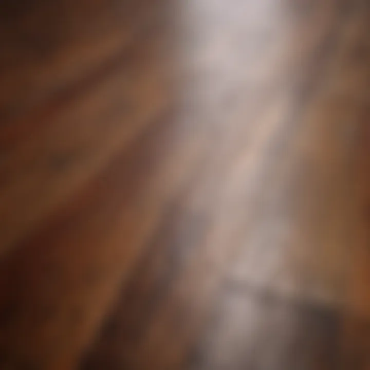 Beautifully stained wooden floor showcasing rich color and texture