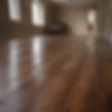 Before and after comparison of wood floor staining