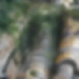 Lush greenery of Touro Forest Hills showcasing its natural beauty