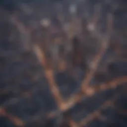 Aerial view of San Francisco skyline