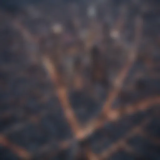 Aerial view of San Francisco skyline