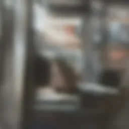 Overview of rental management company fees