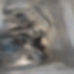 A close-up view of a clogged bathroom sink drain with visible debris.