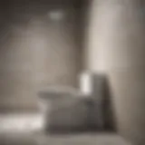 Visualization of toilet water backflow phenomena in a shower setting