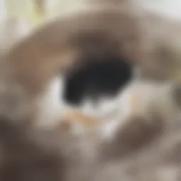 Illustration depicting bathtub drainage issues