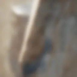 A coat hanger bent into a hook shape for drain cleaning.