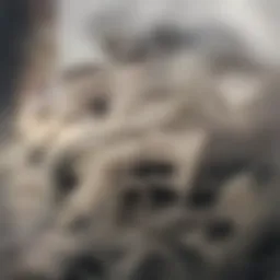 A close-up of a snake in its natural habitat, showcasing intricate patterns and colors.