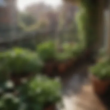 A beautifully arranged balcony garden featuring pots filled with various vegetables.